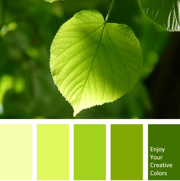 What Shade of Green is Leaf 