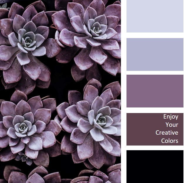 purple succulent color palettes